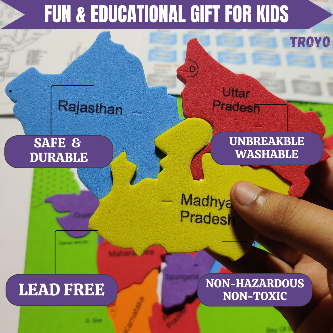 INDIA/WORLD/EUROPE MAP PUZZLE - Level Up Your Kid's Learning